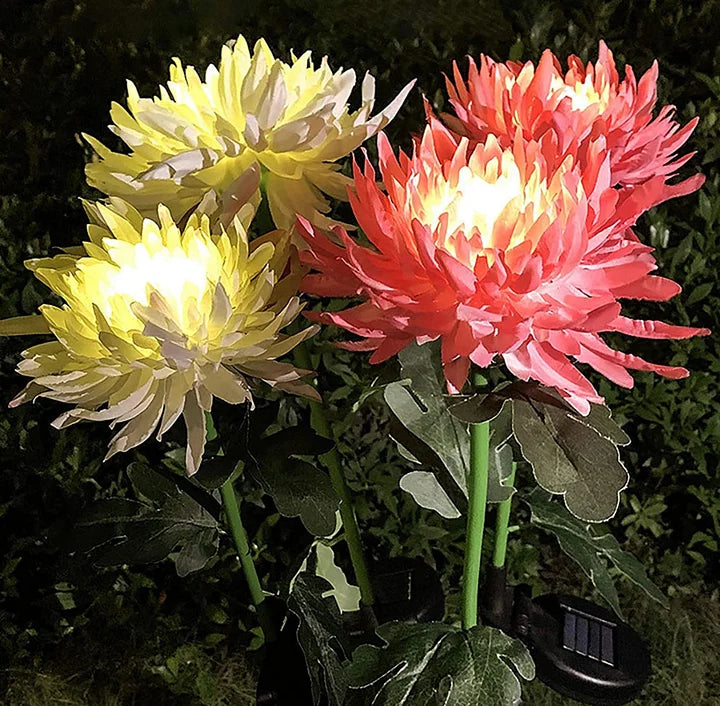 Spring Chrysanthemum Solar Garden Stake LED