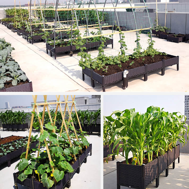 Multifunctional Vegetable Planting Box