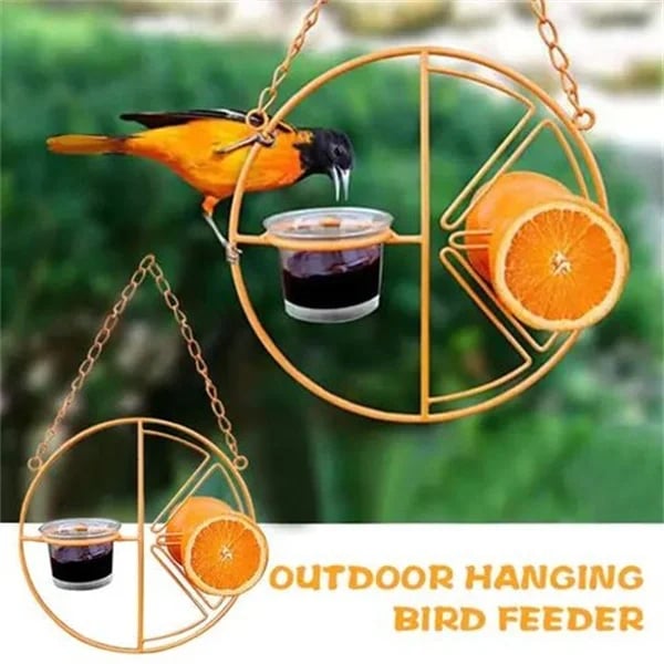 Cute Orange Hummingbird Feeder Fruit Berry Bird Feeder Garden Yard Decorative