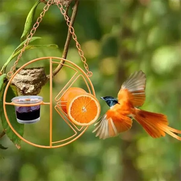 Cute Orange Hummingbird Feeder Fruit Berry Bird Feeder Garden Yard Decorative