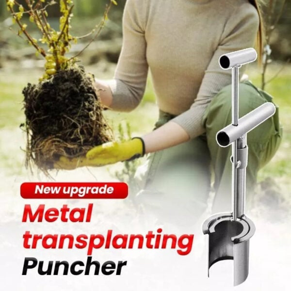 Plant and Fruit Tree Seedling Transplanter, Stainless Steel Garden Planting Tool