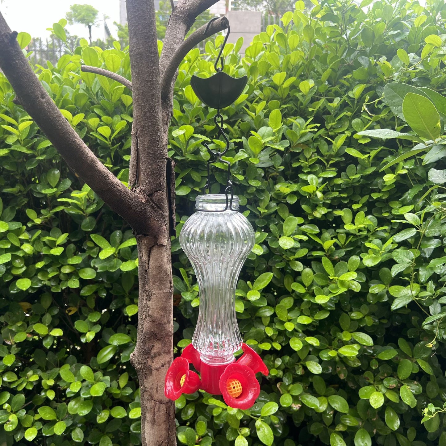Flowers Glass Hummingbird Feeder With Ant Moat