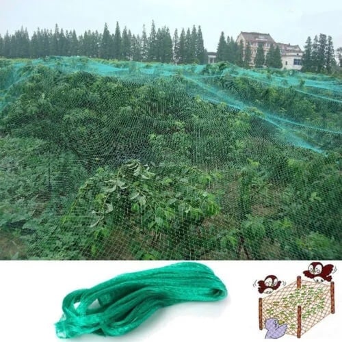 Anti -bird Net , Garden Net , Orchard Net , Polyethylene Bird Net