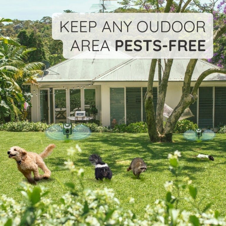 Upgraded Version Smart Infrared Solar Repeller