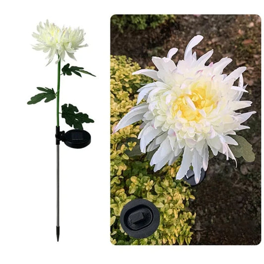 Spring Chrysanthemum Solar Garden Stake LED